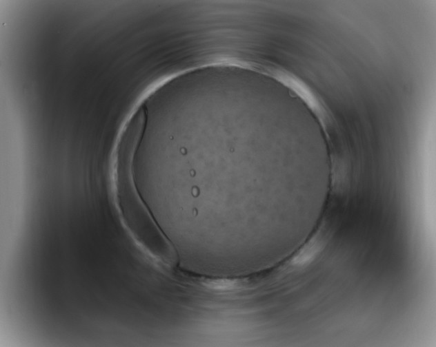 X0000092331048200709141414