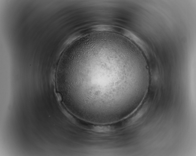 X0000092331049200709141414