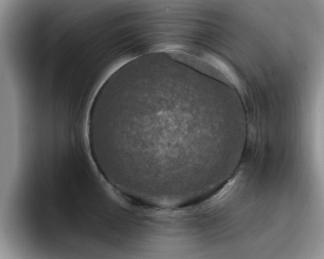 X0000092331050200709141414