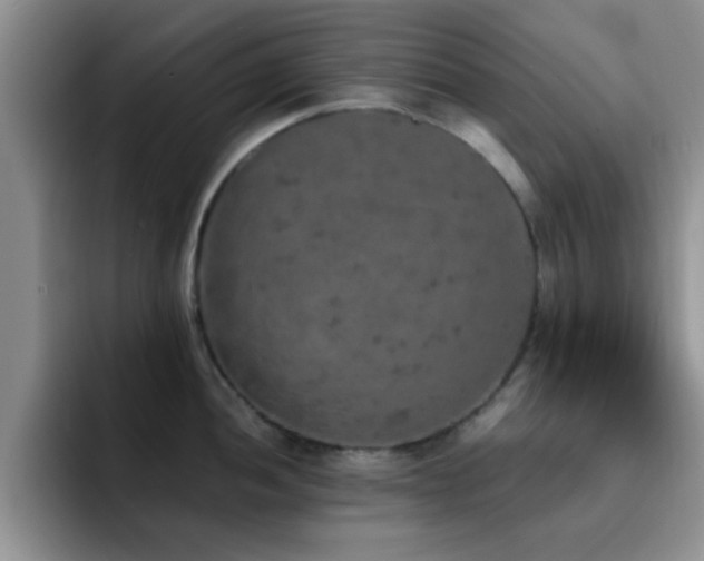 X0000092331052200709141414