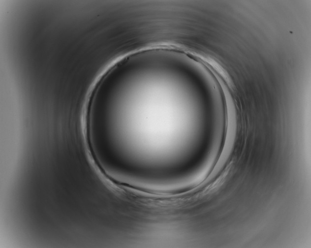X0000092331054200709141414
