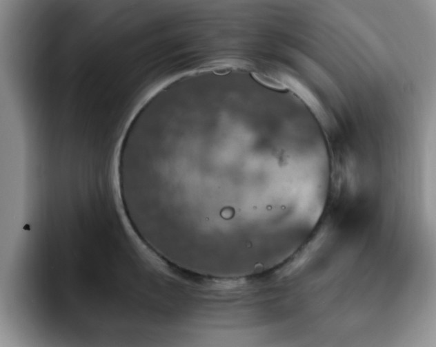 X0000092331055200709141414