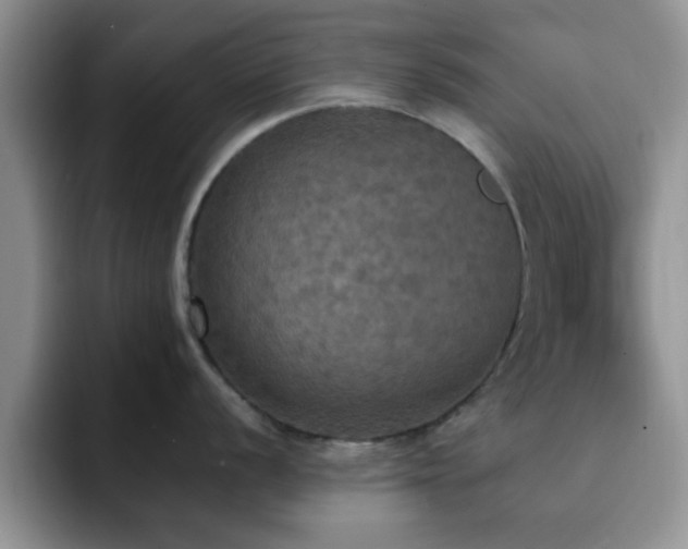 X0000092331056200709141414