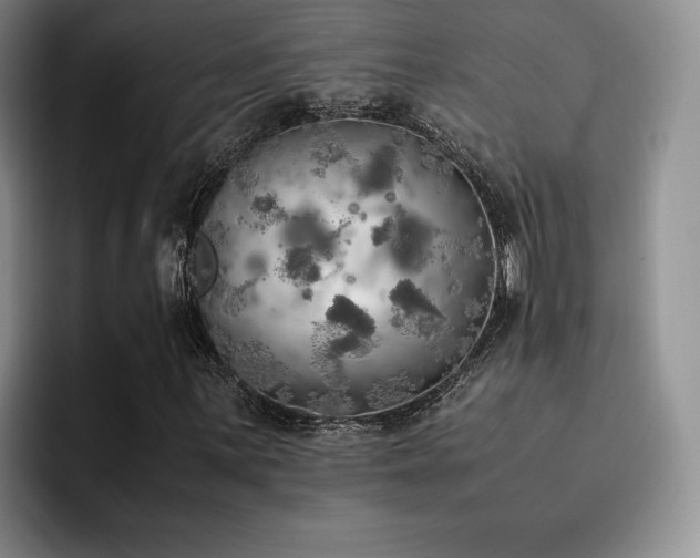 X0000092331059200709141414