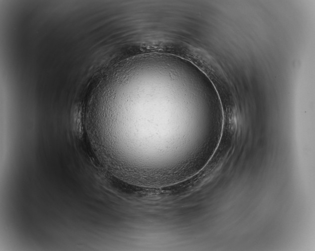 X0000092331060200709141414