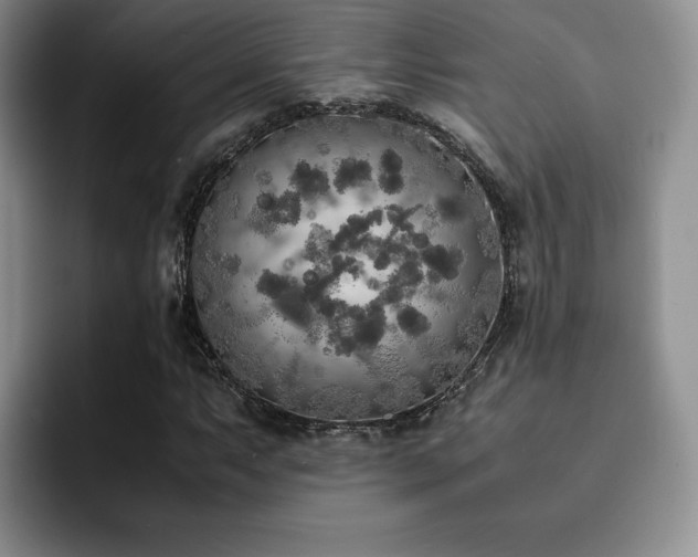 X0000092331063200709141414