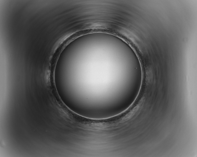 X0000092331066200709141414