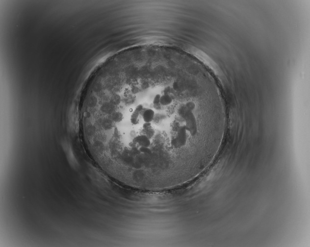 X0000092331067200709141414