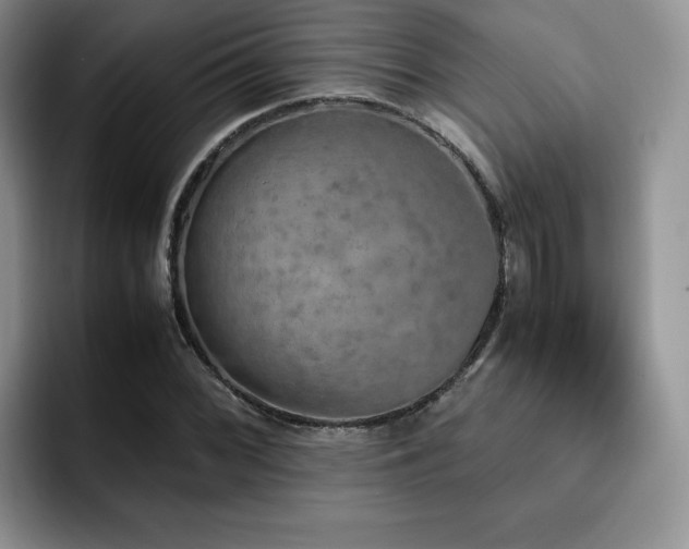 X0000092331068200709141414