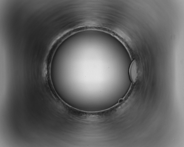 X0000092331070200709141414