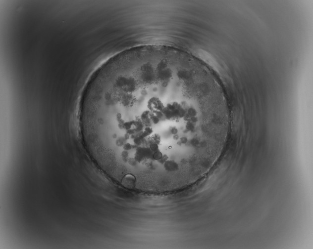 X0000092331071200709141413