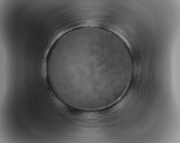 X0000092331075200709141413
