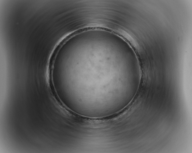 X0000092331076200709141413