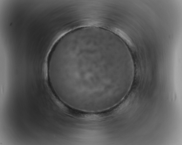 X0000092331079200709141413