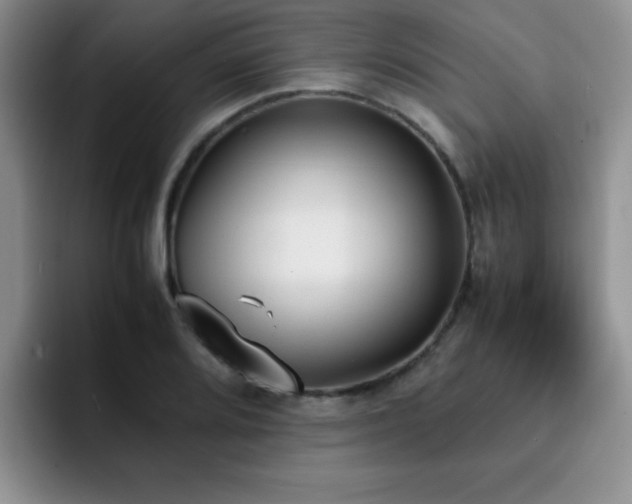 X0000092331080200709141413