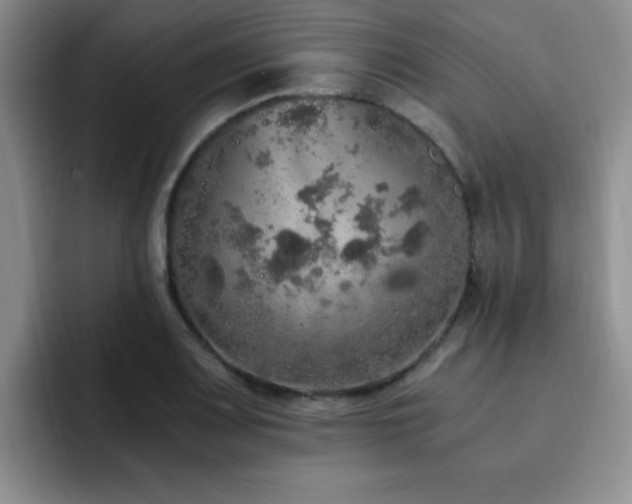 X0000092331083200709141413