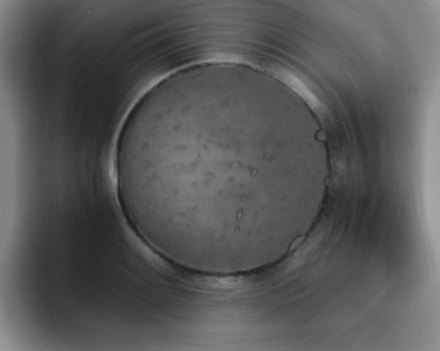 X0000092331084200709141413