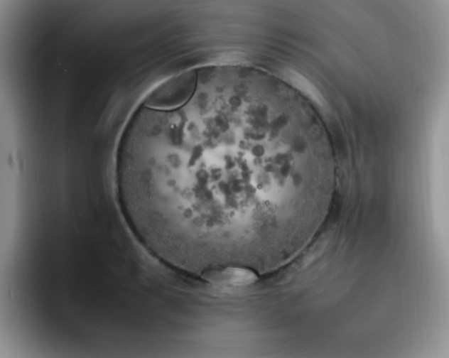 X0000092331087200709141413