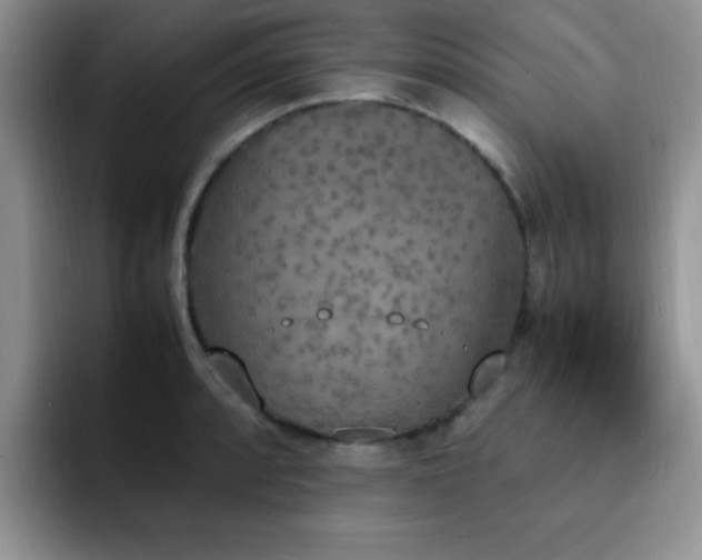 X0000092331088200709141413