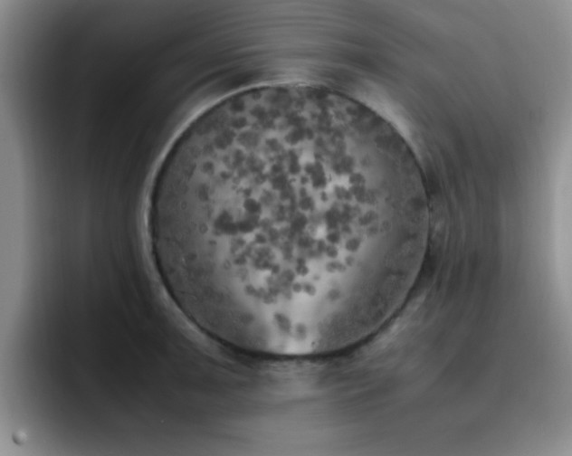 X0000092331091200709141413