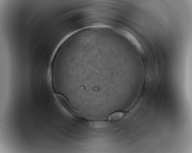 X0000092331092200709141413