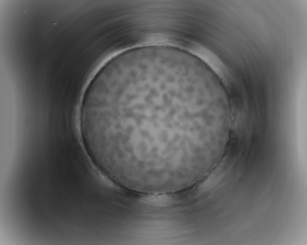 X0000092331094200709141413