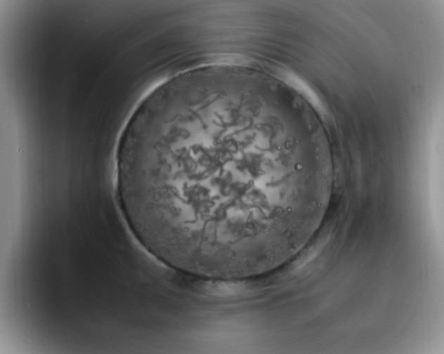 X0000092331095200709141413