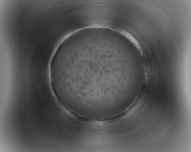 X0000092331096200709141413