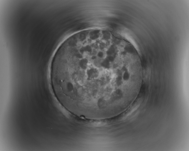 X0000092331099200709141413
