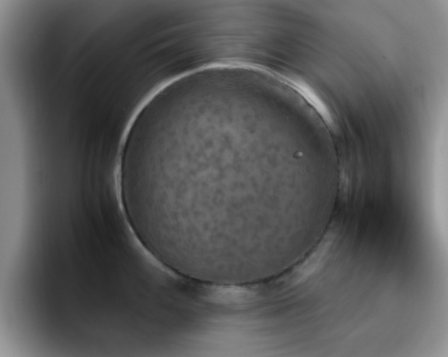 X0000092331100200709141413