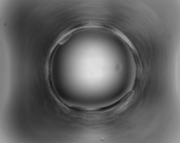 X0000092331101200709141413