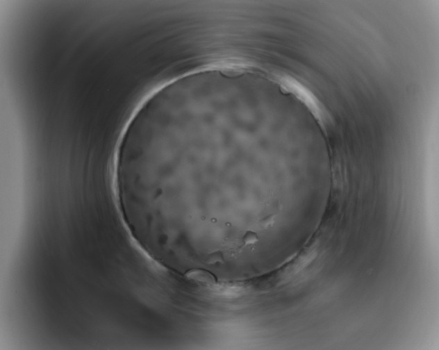 X0000092331103200709141413