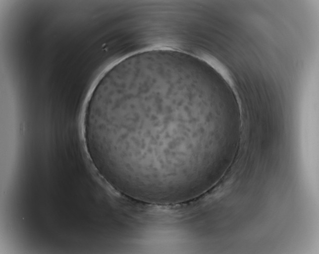 X0000092331104200709141413