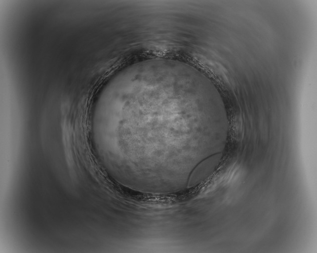 X0000092331105200709141412