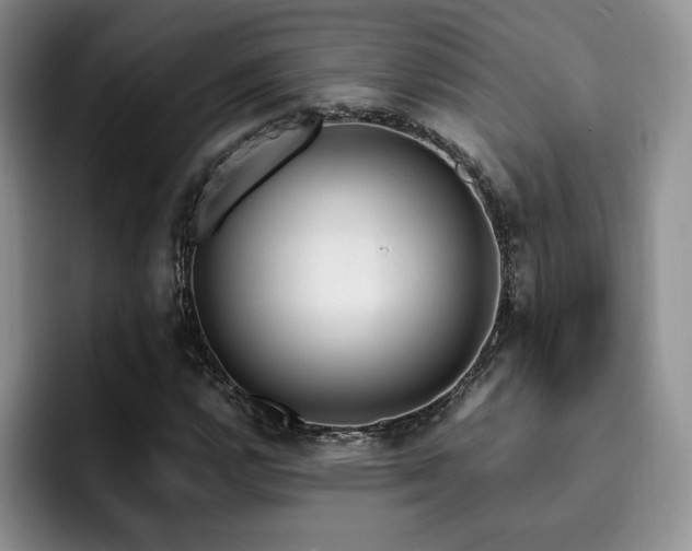 X0000092331112200709141413