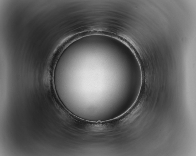 X0000092331115200709141413