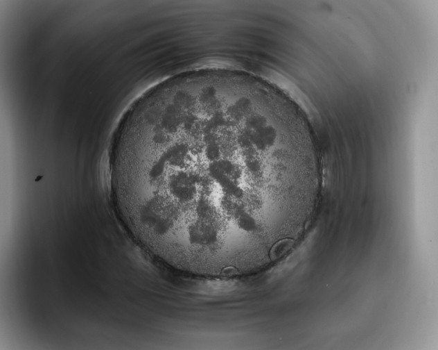 X0000092331117200709141413