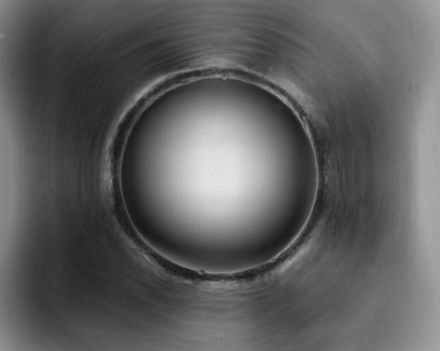 X0000092331118200709141413