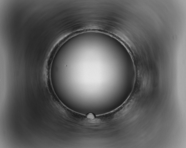 X0000092331119200709141413