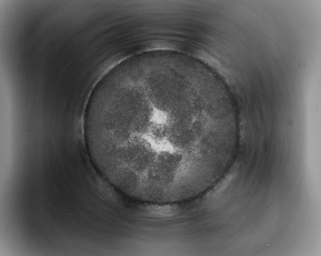X0000092331121200709141413