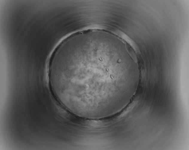 X0000092331124200709141413