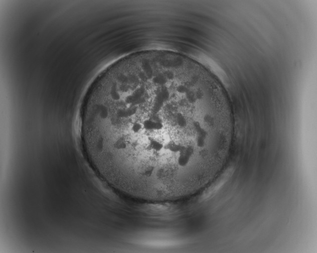 X0000092331125200709141413