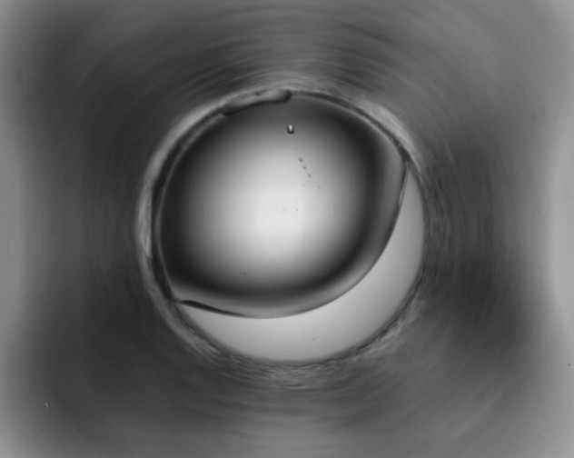X0000092331128200709141413