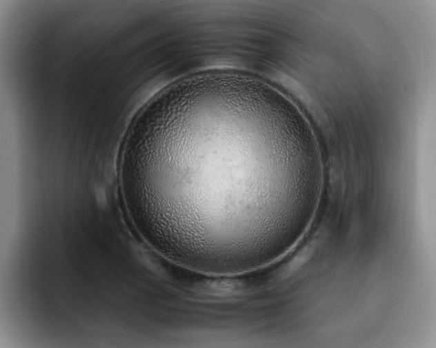 X0000092331129200709141413