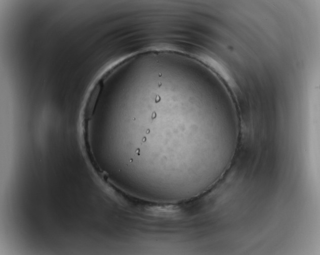 X0000092331133200709141413