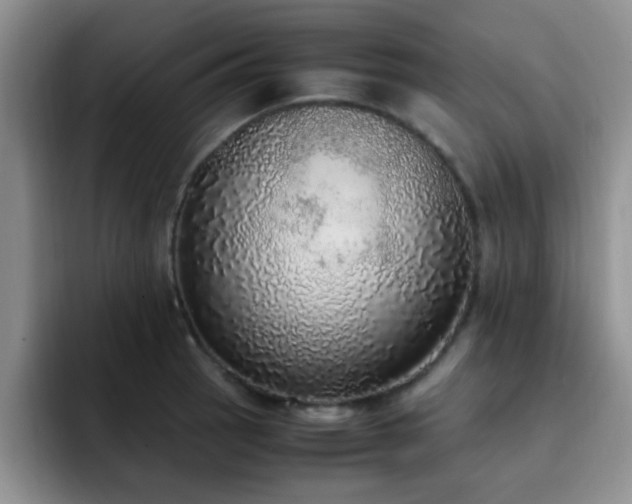 X0000092331137200709141413