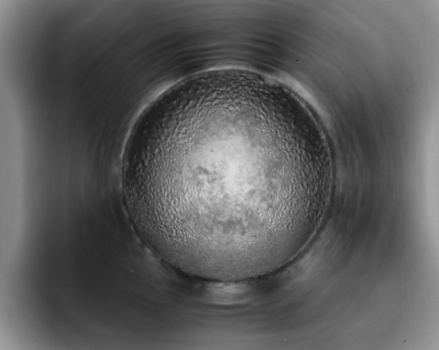 X0000092331145200709141413