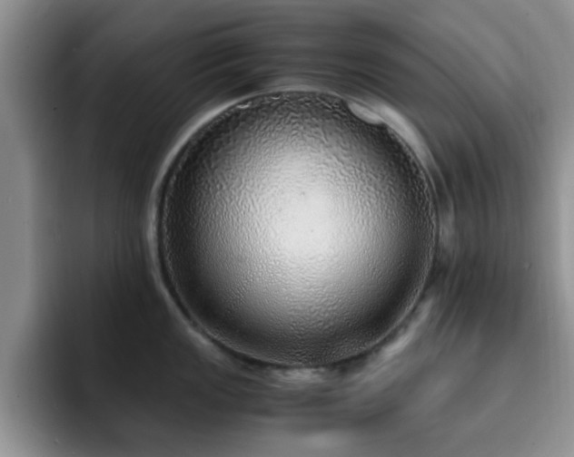 X0000092331149200709141413