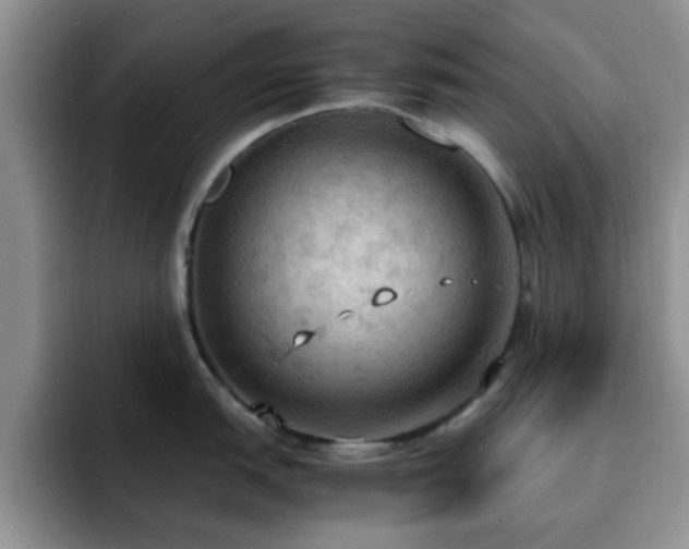 X0000092331151200709141413