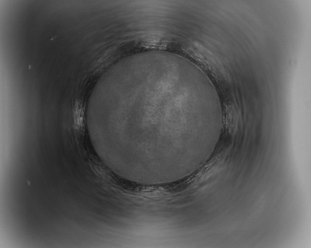 X0000092331154200709141412
